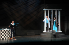 Die Fledermaus 2014 1