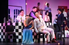 Die Fledermaus 2014 9